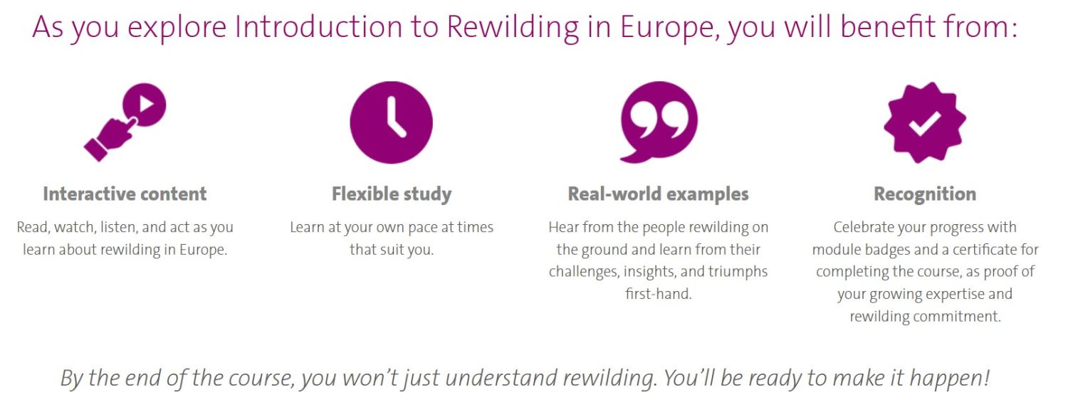 Online Rewilding Course. Rewilding Europe. 