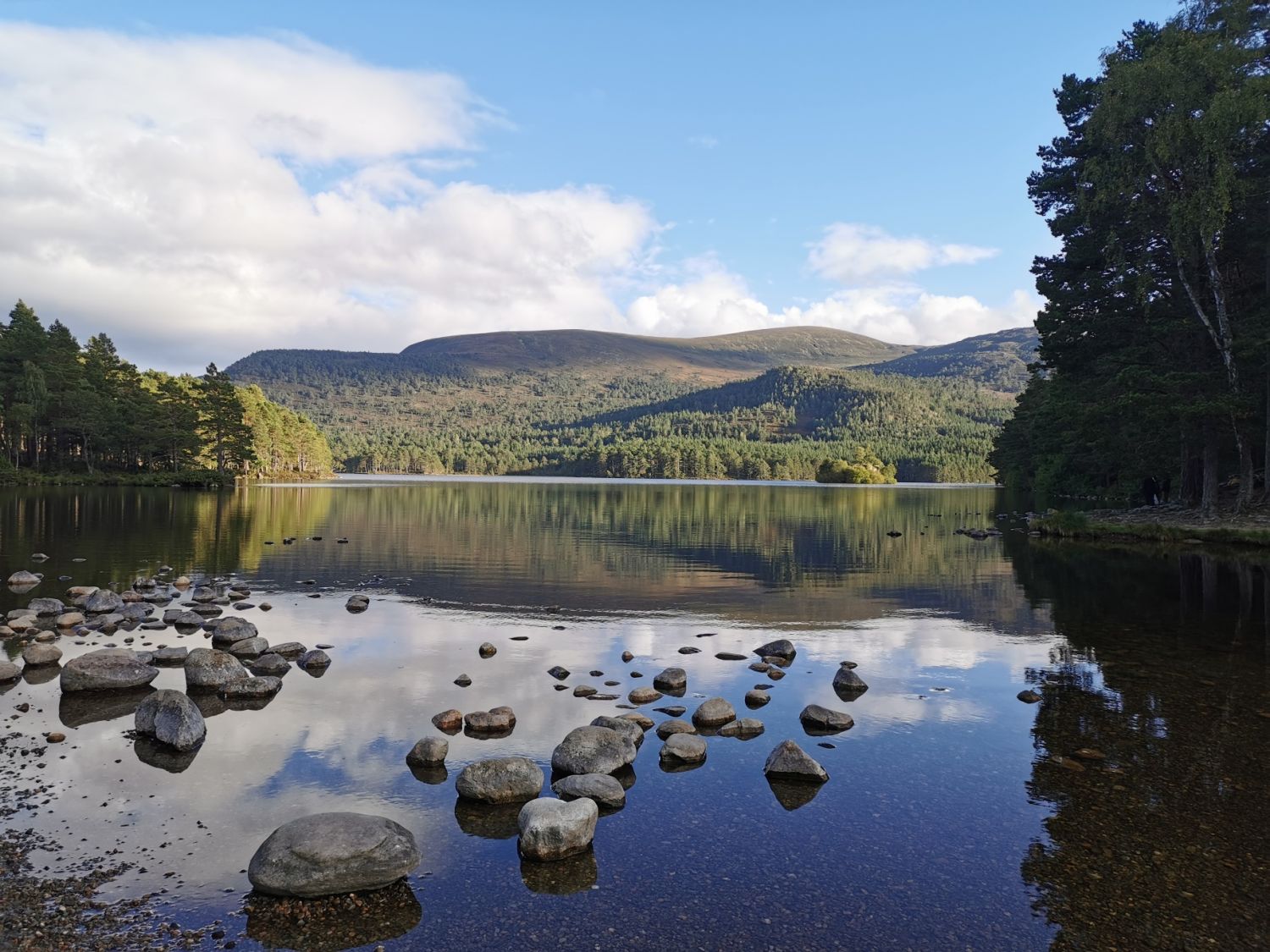 Loch an Eilein, Rothiemurcus. David Brown, 2024.