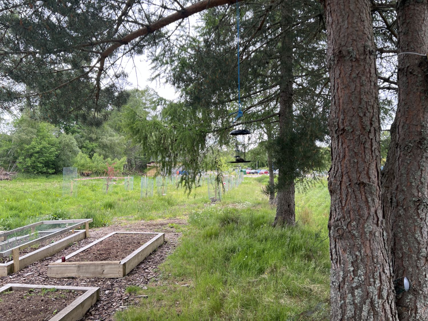 Carrbridge Community Orchard. Jennifer Gabrys, 2025.